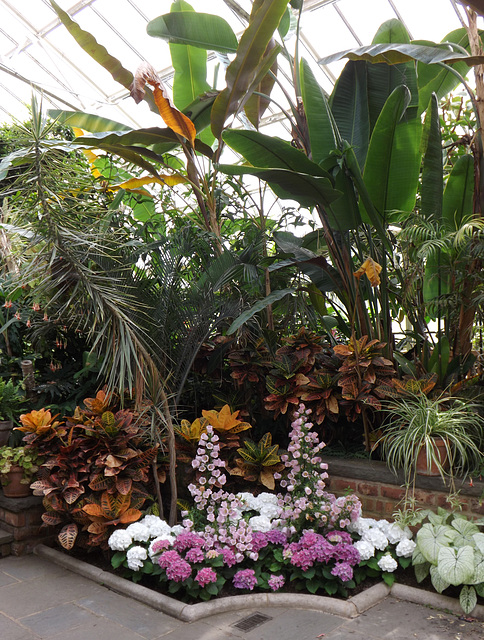 Interior of one of the Greenhouses at Planting Fields, May 2012