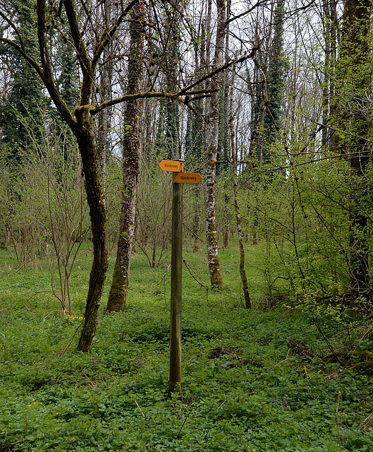 Wegweiser in die Frühlingsnatur