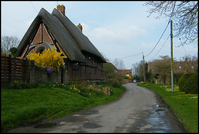 Pomander House thatch
