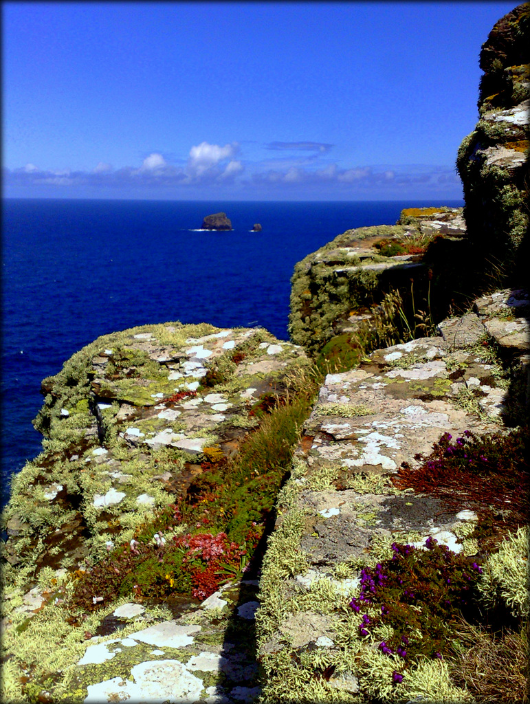 St Agnes Head