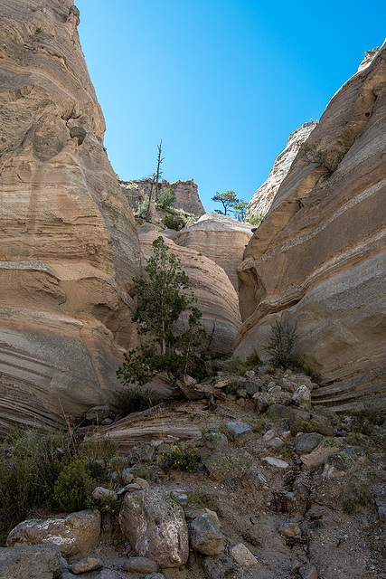 New Mexico slot canyon56