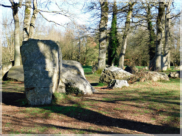 Circuit des Mégalithes à Pleslin Trigavou (22)