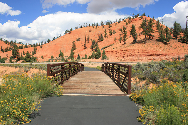 Bike bridge