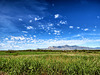 The Riparian Zone & The Huachuca Mountains