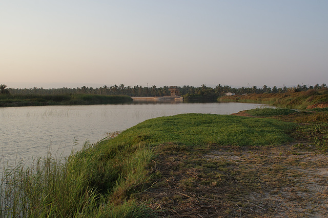 Salt Marshes At Salalah