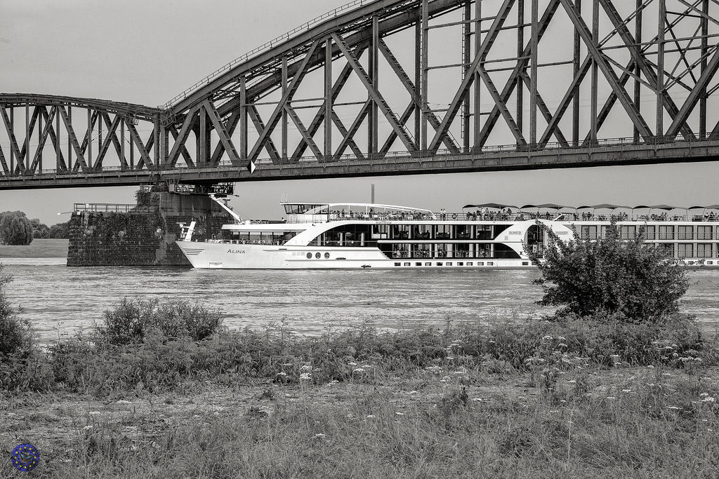 MS Alina auf dem Rhein