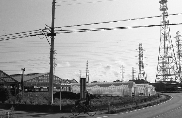 Greenhouses and towers