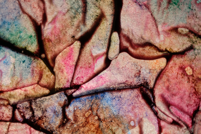 DSCF0904