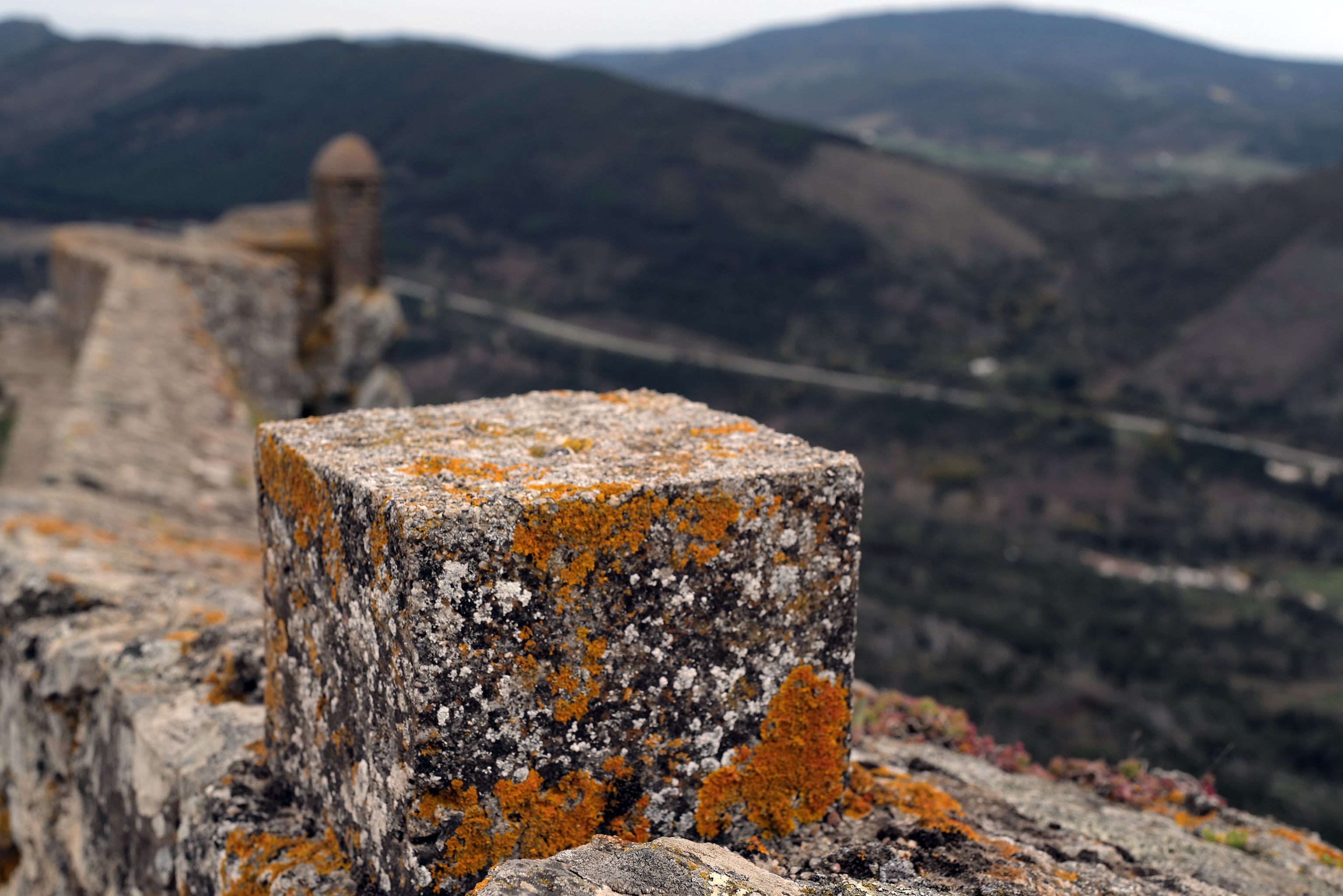 Xanthoria laranja, Marvão