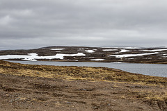 Auf Varanger: zwischen Syltefjord und Berlevåg