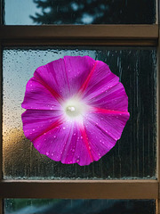 Eyecatcher ✨️ Eyecatcher ✨️