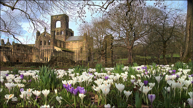 HFF..........Kirkstall Abbey