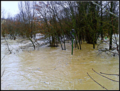 Pamplona: río Arga en crecida 2