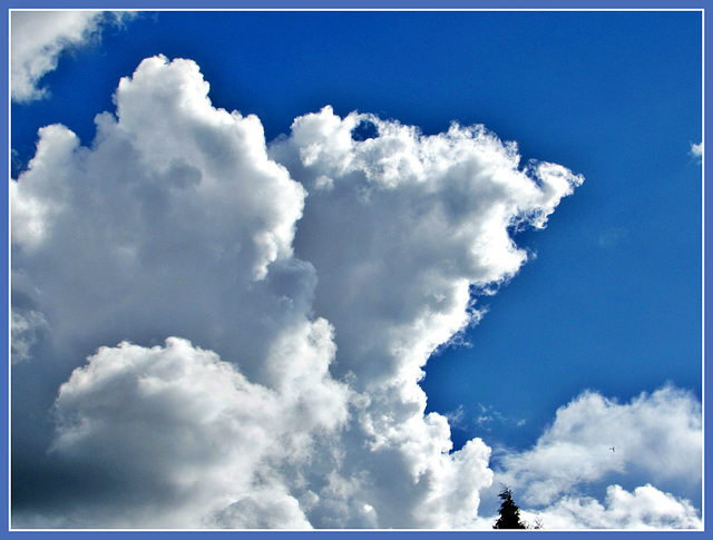 Billowing Clouds