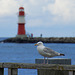 Leuchttürme (Molenfeuer) vor Warnemünde (© Buelipix)