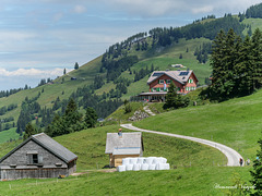 Berg Gasthaus Ruhsitz