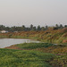 Salt Marshes At Salalah