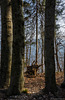 kurzer Spaziergang auf dem Monte Brè - P.i.P. (© Buelipix)