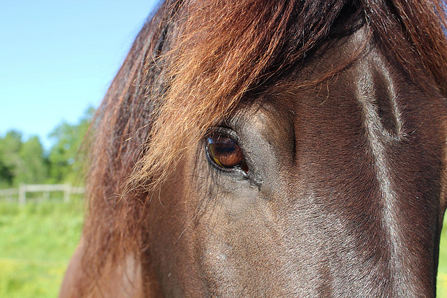 Regard