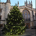 Magdalen Christmas tree