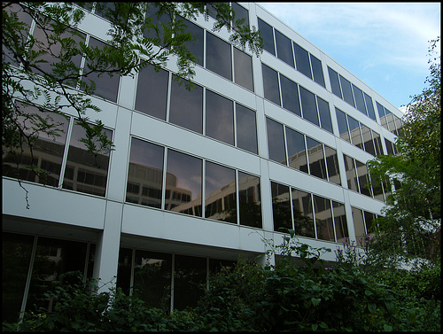 faceless office windows