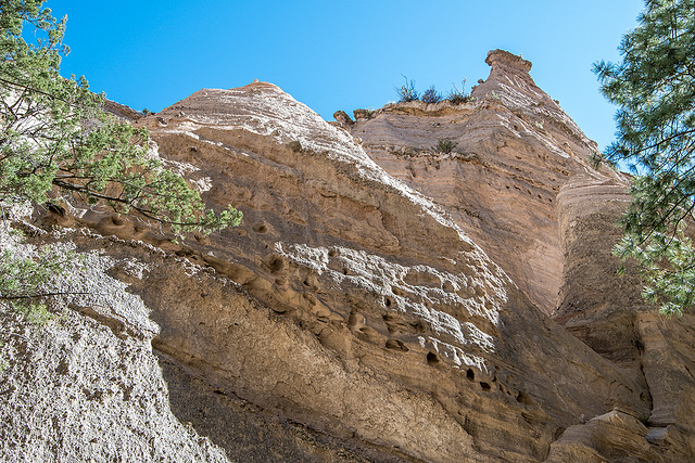 New Mexico slot canyon59