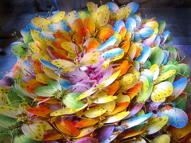 Butterflies of all colors , found in Ossio Lucas, Greece