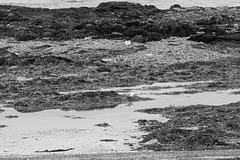 Auf Varanger: zwischen Syltefjord und Berlevåg