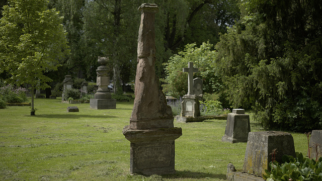 _Die "Steinlaus"