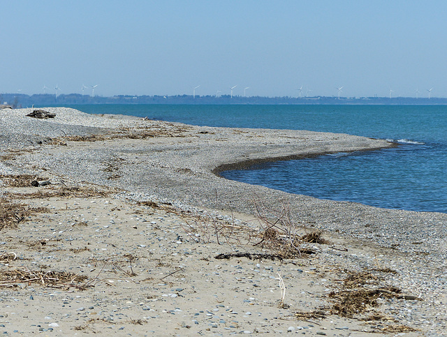 Day 2, Lake Erie from Rondeau PP, Ontario