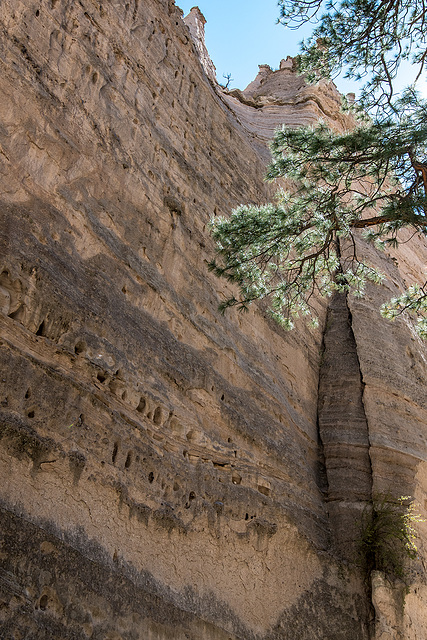 New Mexico slot canyon60