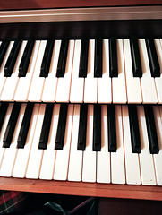 Organ.