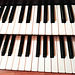 Organ.