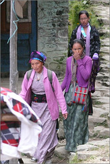 Langtang Népal