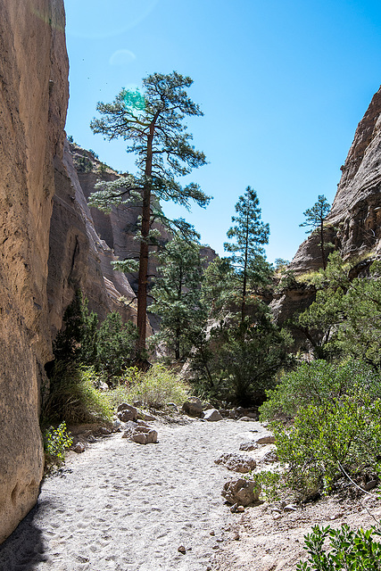 New Mexico slot canyon