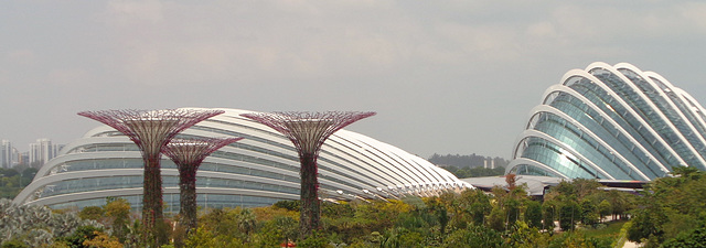 Vietnam 2016 Singapur / Flower Dome and Cloud Forest