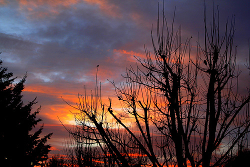 Aurore hivernale ... Bon dimanche et bonne semaine