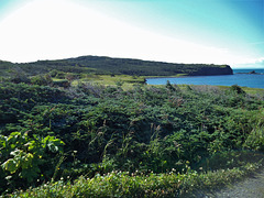 Een dromerige baai / Una baia da sogno