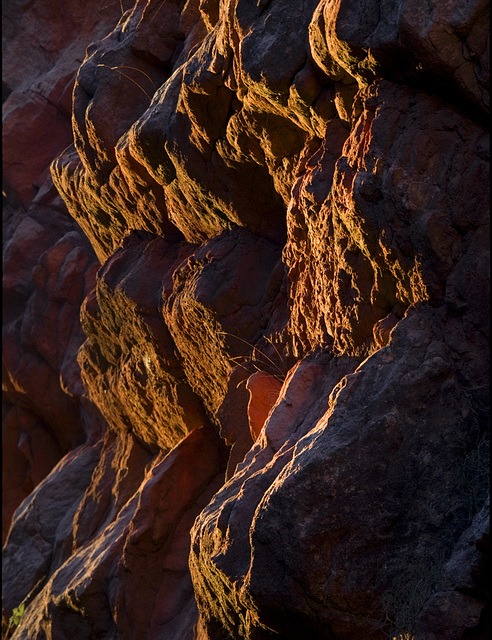 Vent roig d'hivern