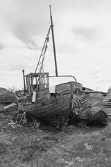 Auf Varanger: zwischen Syltefjord und Berlevåg