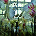 Orchids Wrapped And Stacked At The Garden Centre