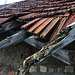#34 - digipic - Old Roof - 4̊ 8points