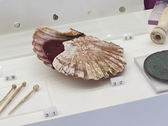 Marsala, Musée archeologique Baglio Anselmi, 4.