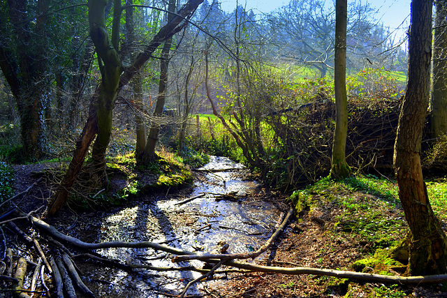 Small Stream