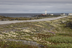 Auf Varanger: zwischen Syltefjord und Berlevåg