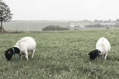 2025 365-268 2025 365-268