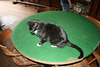 IMG 4815