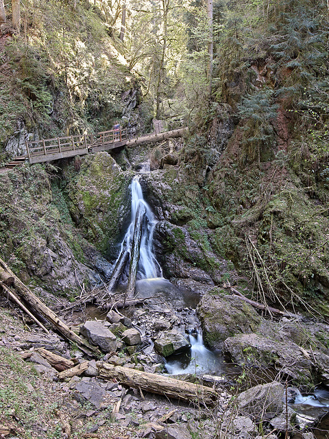 Bonndorf - In der Lotenbachklamm