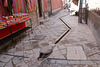 Serpent In The Streets Of Pisac