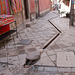 Serpent In The Streets Of Pisac